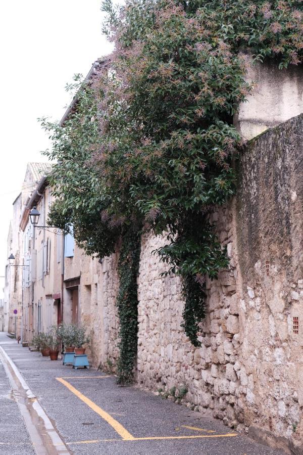 Gite Le Petit Ecolier 雷克图尔 外观 照片